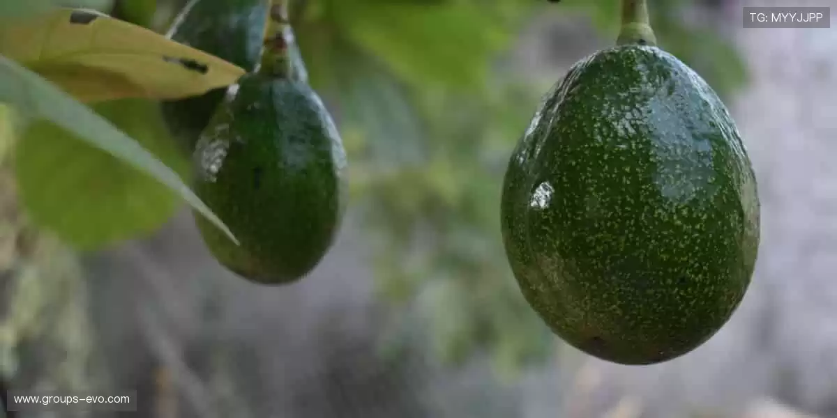 🔥全球赛事,一键点燃你的热血!